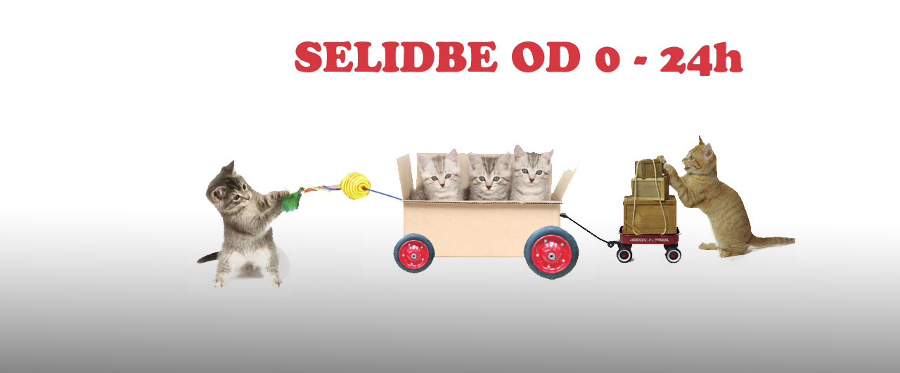 Selidbe Beograd