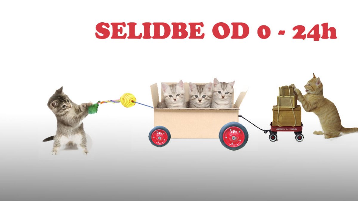 Selidbe Beograd